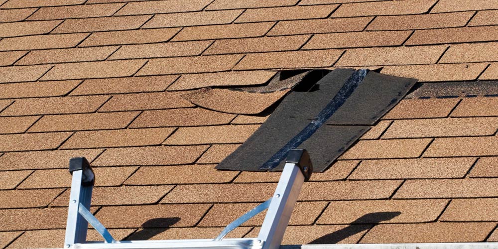 Louisiana Roof Repair Expert